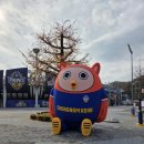 한정수(개인) | [충남아산FC] 2025 K리그2 39라운드 전남드래곤즈전 직관후기(홈 폐막전)