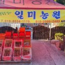 일미농원 네이버블로그