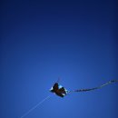 미르오토캠핑장 이미지