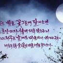 살구꽃핀마을은 이미지