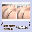 낙타 | 장산역 속눈썹펌 후기✨ 낙타속눈썹 솔직 리뷰!