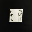 감성글씨 캘리그라피 이미지