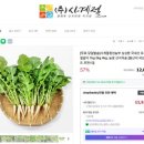 굿모닝농장 | 굿모닝대한민국 미식투어 열무 택배 포천 주문처 알아보기