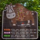 지천생태길 이미지