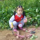 정명농장 이미지