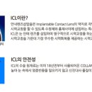 눈에손안과