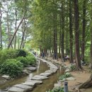동심당 | 양평 세미원 7월 말에 가야하는 이유! 배다리 백련 만개 예측과 동심 자극 세족대 물놀이 후기