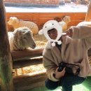 한우촌목장 네이버블로그
