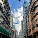 표선면 구룡밭식당 앞 | [🇭🇰홍콩🇭🇰] 홍콩 서구룡문화지구 피크닉 주말 아침 직접 가본 후기