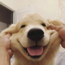 신길_런드리익스프레스샵 이미지