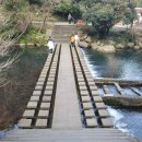 천지연산책로(폭포안) 이미지