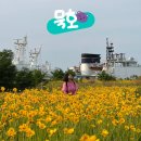 부곡동 돌담해안숲공원 | 동해 묵호 여행 가볼만한곳 부곡돌담마을 해안숲공원