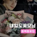 내일도꽃모닝 | 내일도 꽃모닝 : 동백동꽃집 동백졸업식 용인 선물 생일선물_강남맛집