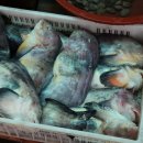 웅천시장 이미지