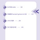H0411 이미지