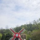 범띠번개 부천무릉도원수목원 이미지