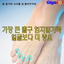 기가솔
