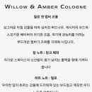 위즈앤
