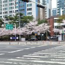 각료암 | [대구MTB코스]달성군/석새미/헬기착륙장/가태임도/각료암/GPX파일有