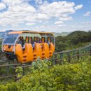 시민카랜드 이미지