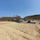 세종파크 네이버블로그