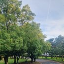 용담하수처리장 이미지