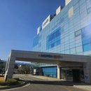 한국알렉산더테크닉양재교육센터 | 움직임명상! 몸을 통한 알아차림. 대한명상의학회 알렉산더테크닉 워크샵