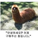 시블링즈 이미지
