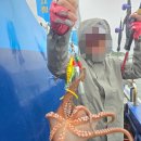 홍성배 | 고고씽호 남당항배낚시 다녀온 후기