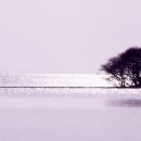 프린시스 이미지