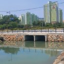 진해의원 이미지