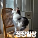 노마약국 | 2026. 6 ) 징징일상