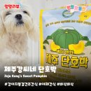 강씨네 | 강아지 동결건조야채간식 제주강씨네 | 달달한 단호박 트릿 내돈내산 후기