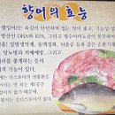 지리산장수어탕