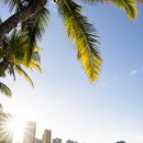 하와이호텔 이미지