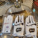 인 스크린골프존 이미지