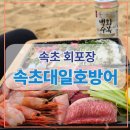 일호수산 | 내돈내산 속초 중앙시장 회포장 찐추천 | 포장전문 속초대일호방어