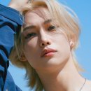 더블유(W)뷰티