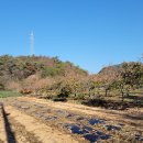 철성 태양광발전소 이미지