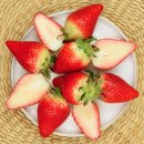 킹스베리 이미지