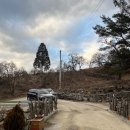 산청 지리산 촌캉스 애견동반펜션 풍안펜션 솥뚜껑삼겹살 필수
