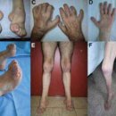 자주마리 이미지