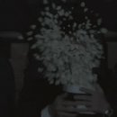 포레스트31 이미지