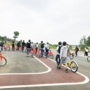 어등대교(거점터미널) 이미지