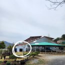 말보르승마장 이미지