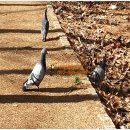 진달래아파트(107동) 이미지