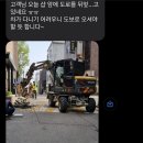온바디앤두피