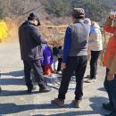 의료법인 인애의료재단 이미지