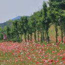 보성강5 이미지