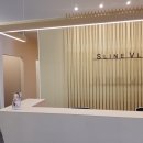 V라인S라인 이미지